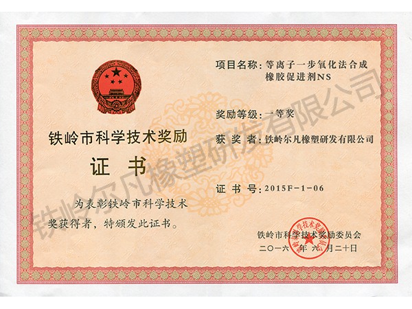 2015鐵嶺市科技獎勵(lì)：技術(shù)發(fā)明一等獎